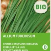 New Schnittknoblauch (Allium tuberosum) (BIO) Samen Kräutersamen|Saatgut