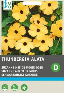 Best Schwarzäugige Susanne (Thunbergia alata) Blumensamen Saatgut|Blühende Pflanzen