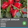 Hot Snack-Paprika (Capsicum annuum 'Patio Paragon') Samen Gemüsesamen|Saatgut