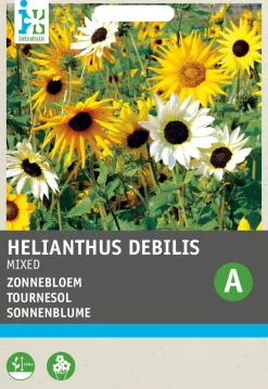 Best Sonnenblume (Helianthus annuus) Blumensamen-Mischung Saatgut|Blühende Pflanzen