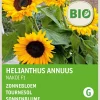 Sonnenblume (Helianthus annuus 'Zohar F1') (BIO) Blumensamen Saatgut|Blühende Pflanzen