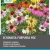 Hot Sonnenhut (Echinacaea purpurea) Blumenzwiebeln 5 St. Winterharte Pflanzen|Mehrjährige Pflanzen