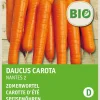 Outlet Speisemöhren (Daucus carota 'Nantes 2') (BIO) Samen Gemüsesamen|Saatgut