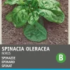 Spinat (Spinacia oleracea 'Nores') Samen Gemüsesamen|Saatgut