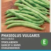 Hot Stangenbohne (Phaseolus vulgaris 'Westlandse dubbele') Samen Gemüsesamen|Saatgut