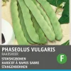 Stangenbohne (Phaseolus vulgaris 'Raadsheer type Veense') Samen Gemüsesamen|Saatgut