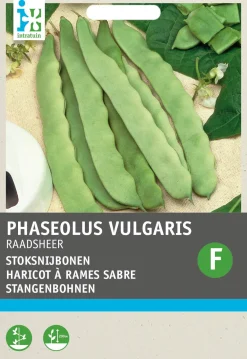 Stangenbohne (Phaseolus vulgaris 'Raadsheer type Veense') Samen Gemüsesamen|Saatgut