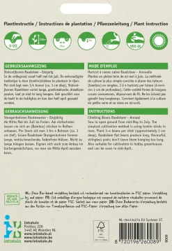 Stangenbohne (Phaseolus vulgaris 'Raadsheer type Veense') Samen Gemüsesamen|Saatgut