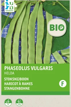 Stangenbohne (Phaseolus vulgaris 'Helda') (BIO) Samen Gemüsesamen|Saatgut