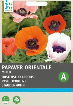 Best Staudenmohn bunt (Papaver orientale) Blumensamen-Mischung Blühende Pflanzen|Saatgut