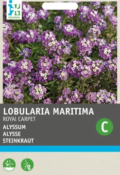 Outlet Steinkraut (Alyssum maritimum 'Royal carpet') Blumensamen Saatgut|Blühende Pflanzen