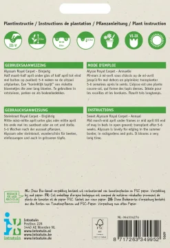 Outlet Steinkraut (Alyssum maritimum 'Royal carpet') Blumensamen Saatgut|Blühende Pflanzen