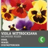 Stiefmütterchen (Viola wittrockiana 'Riesen von Aalsmeer') Blumensamen-Mischung Saatgut|Blühende Pflanzen