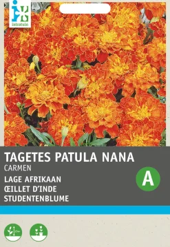 Studentenblume rostbraun-gelb (Tagetes patula 'Carmen') Blumensamen Blühende Pflanzen|Saatgut