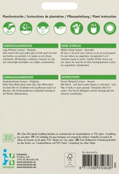 Studentenblume rostbraun-gelb (Tagetes patula 'Carmen') Blumensamen Blühende Pflanzen|Saatgut