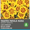 Sale Studentenblume goldgelb-braun (Tagetes patula nana 'Granada') Blumensamen Blühende Pflanzen|Saatgut