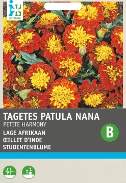 Studentenblume (Tagetes 'Petite Harmony') Blumensamen Saatgut|Blühende Pflanzen