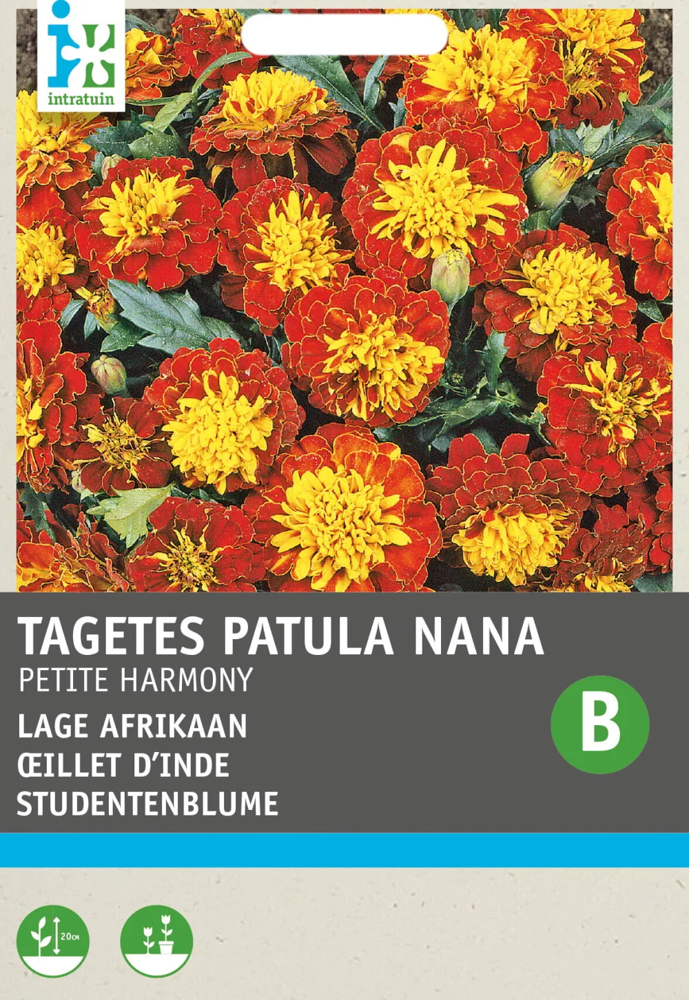 Studentenblume (Tagetes 'Petite Harmony') Blumensamen Saatgut|Blühende Pflanzen