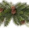 Best Tannengirlande mit Tannenzapfen 66 x 25 x 13 cm grün Weihnachts- & Tannengirlanden