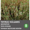 Clearance Thymian Winter (Thymus vulgaris) Samen Kräutersamen|Saatgut