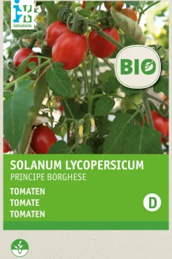 Outlet Tomate (Solanum Lycopersicum 'Principe Borghese') (BIO) Samen Gemüsesamen|Saatgut