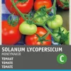 Tomate (Solanum lycopersicum 'Moneymaker') Samen Gemüsesamen|Saatgut