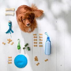 New tragbare Trinkflasche blau 750 ml Futternäpfe & Trinknäpfe|Futternäpfe & Trinknäpfe