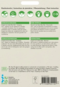 Sale Vergissmeinnicht (Myosotis alpestris 'Blue ball') Blumensamen Saatgut|Blühende Pflanzen