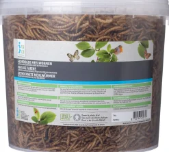 Hot Vogelfutter getrocknete Mehlwürmer 860 g Gartenvögel|Vogelfutter
