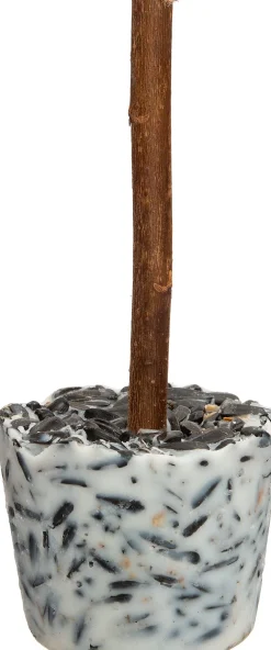 Clearance Vogelfutter Lolly 16 x 6,4 x 15,9 cm 3 St. Gartenvögel|Vogelfutter