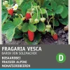 New Walderdbeere (Fragaria vesca 'Baron von Solemacher') Samen Obstsamen|Saatgut