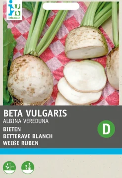 Discount Weiße Rübe (Beta vulgaris 'Albina Vereduna') Samen Gemüsesamen|Saatgut