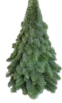 Clearance Weihnachtsbaum aus Nobilis-Zweigen H 30 cm Weihnachtsfiguren & -Objekte