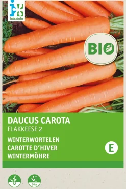 Discount Wintermöhre (Daucus carota 'Rote Riesen 2') (BIO) Samen Gemüsesamen|Saatgut