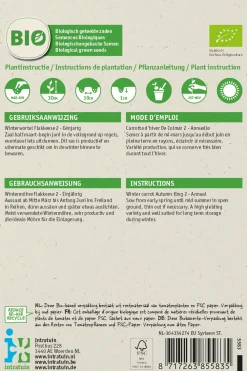 Discount Wintermöhre (Daucus carota 'Rote Riesen 2') (BIO) Samen Gemüsesamen|Saatgut