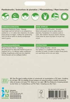 Best Wirsing (Brassica oleracea 'Brüsseler Winter') Samen Gemüsesamen|Saatgut