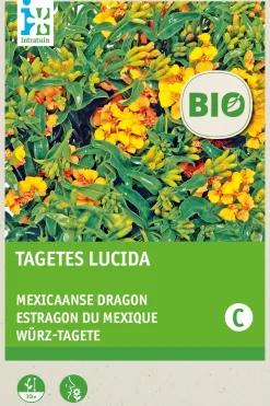 Discount Würz-Tagetes (Tagetes lucida) (BIO) Samen Kräutersamen|Saatgut