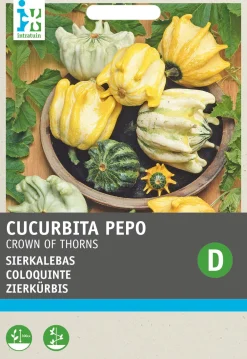 Sale Zierkürbis (Cucurbita 'Crown of Thorns') Samen Gemüsesamen|Saatgut