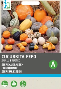 Best Zierkürbis klein (Cucurbita pepo) Samen-Mischung Gemüsesamen|Saatgut