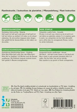 Best Zierkürbis klein (Cucurbita pepo) Samen-Mischung Gemüsesamen|Saatgut