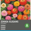 Zinnie (Zinnia elegans 'Pompon') Blumensamen-Mischung Saatgut|Blühende Pflanzen