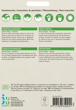 Zinnie (Zinnia elegans 'Pompon') Blumensamen-Mischung Saatgut|Blühende Pflanzen