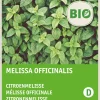 Outlet Zitronenmelisse (Melissa officinalis) (BIO) Samen Kräutersamen|Saatgut