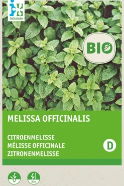 Outlet Zitronenmelisse (Melissa officinalis) (BIO) Samen Kräutersamen|Saatgut