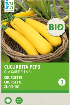 Sale Zucchine gelb (Cucurbita pepo 'Ola Gabriella') (BIO) Samen Gemüsesamen|Saatgut