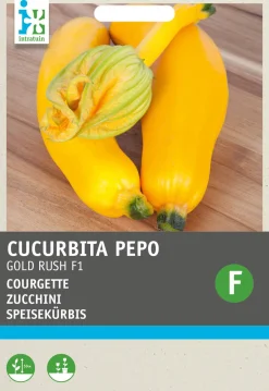 Sale Zucchini gelb (Cucurbita pepo 'Gold Rush') Samen Gemüsesamen|Saatgut