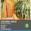 New Zuckermelone (Cucumis melo 'Oranje Ananas') Samen Obstsamen|Saatgut