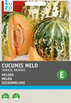 New Zuckermelone (Cucumis melo 'Oranje Ananas') Samen Obstsamen|Saatgut