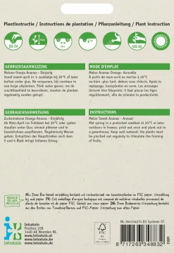 New Zuckermelone (Cucumis melo 'Oranje Ananas') Samen Obstsamen|Saatgut