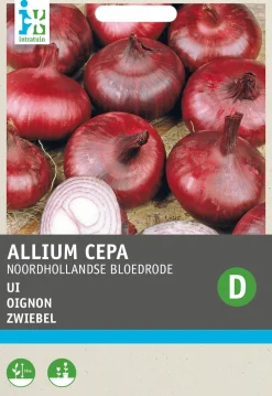 Discount Zwiebel (Allium cepa 'Verbesserte Braunschweiger') Samen Gemüsesamen|Saatgut